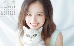 撸管专用妹子图